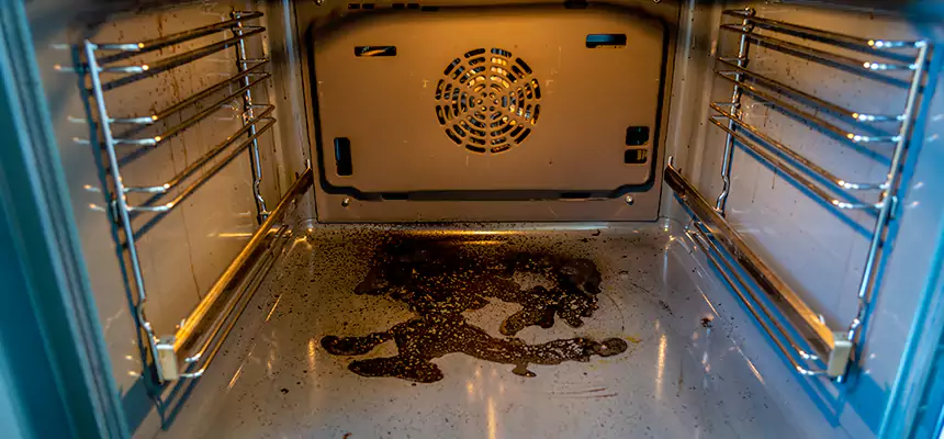 Our Dryer Vent Mold Cleaning Services in St. Louis Park, MN