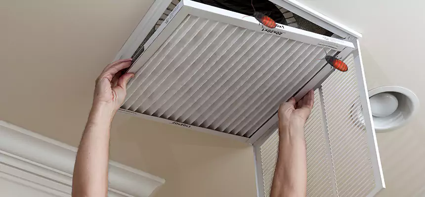 Our Insect Removal from Air Ducts Services in St. Louis Park, MN