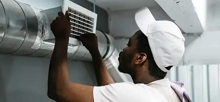 Our Licensed And Insured Cleaners in St. Louis Park, MN