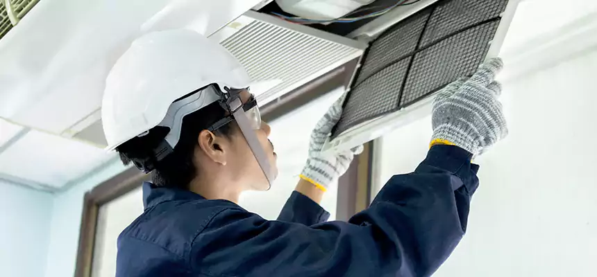 Our Mold & Mildew Removal from Air Ducts Services in St. Louis Park, MN