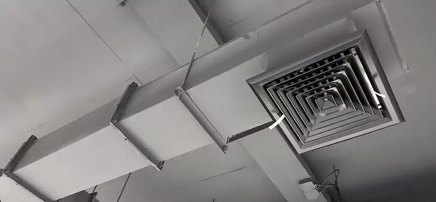 Our Rodent Droppings In Vents Services in St. Louis Park, MN