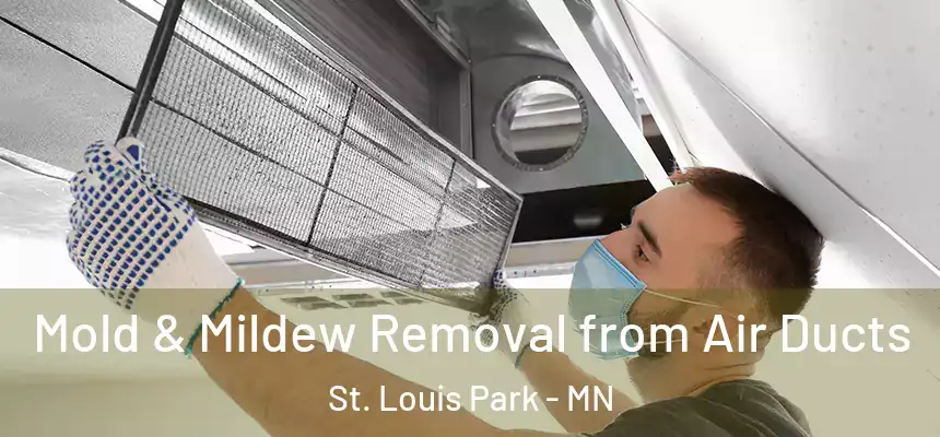 Mold & Mildew Removal from Air Ducts St. Louis Park - MN