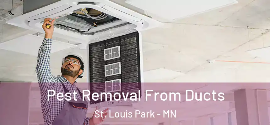  Pest Removal From Ducts St. Louis Park - MN