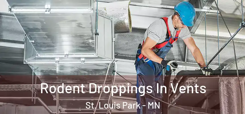  Rodent Droppings In Vents St. Louis Park - MN