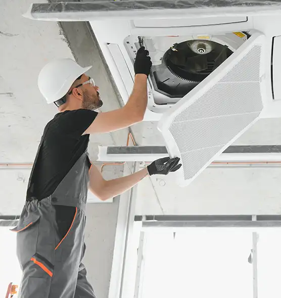 About Air Duct Rodent Removal in St. Louis Park, MN