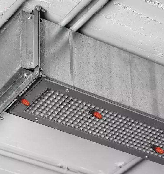 Affordable Insect Removal from Air Ducts in St. Louis Park, MN