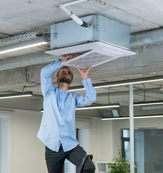 Advanced Rodent Droppings In Vents in St. Louis Park, MN