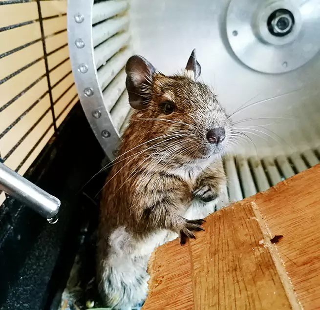 Why Homeowners & Businesses Trust Us St. Louis Park, MN?