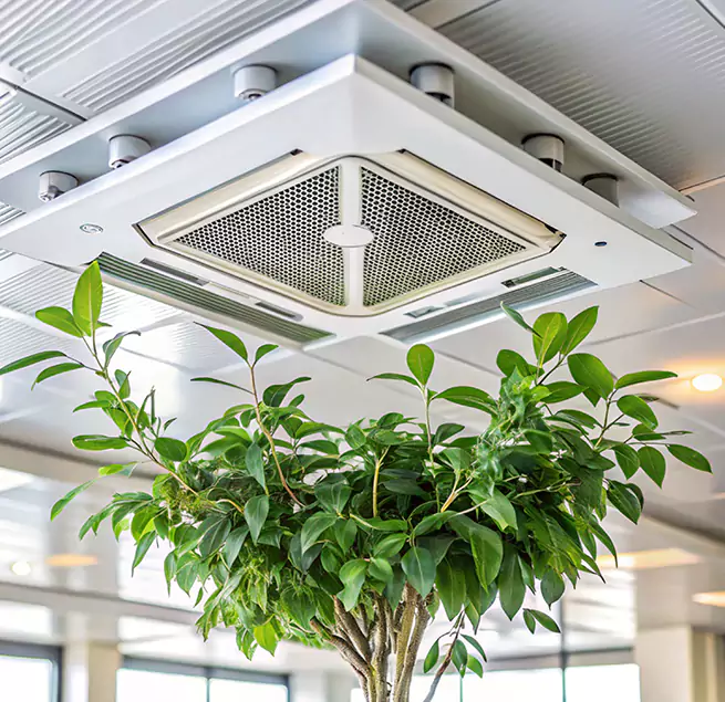 Why Homeowners & Businesses Trust Us in St. Louis Park, MN?