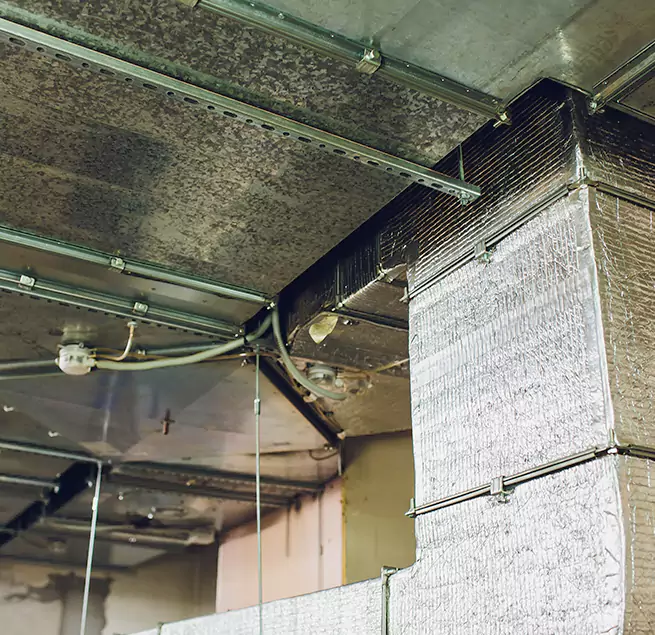 Why Homeowners & Businesses Trust Us in St. Louis Park, MN?